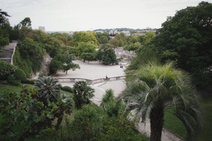 Toiletteur Nîmes